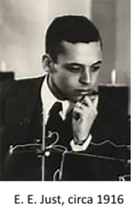 pic-11-1-200x300 pic-11-1-200x300